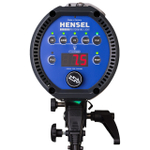 HENSEL Expert D 250 Speed. Моноблок