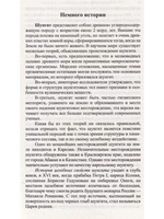 Шунгит и его целебные свойства. 2-е издание