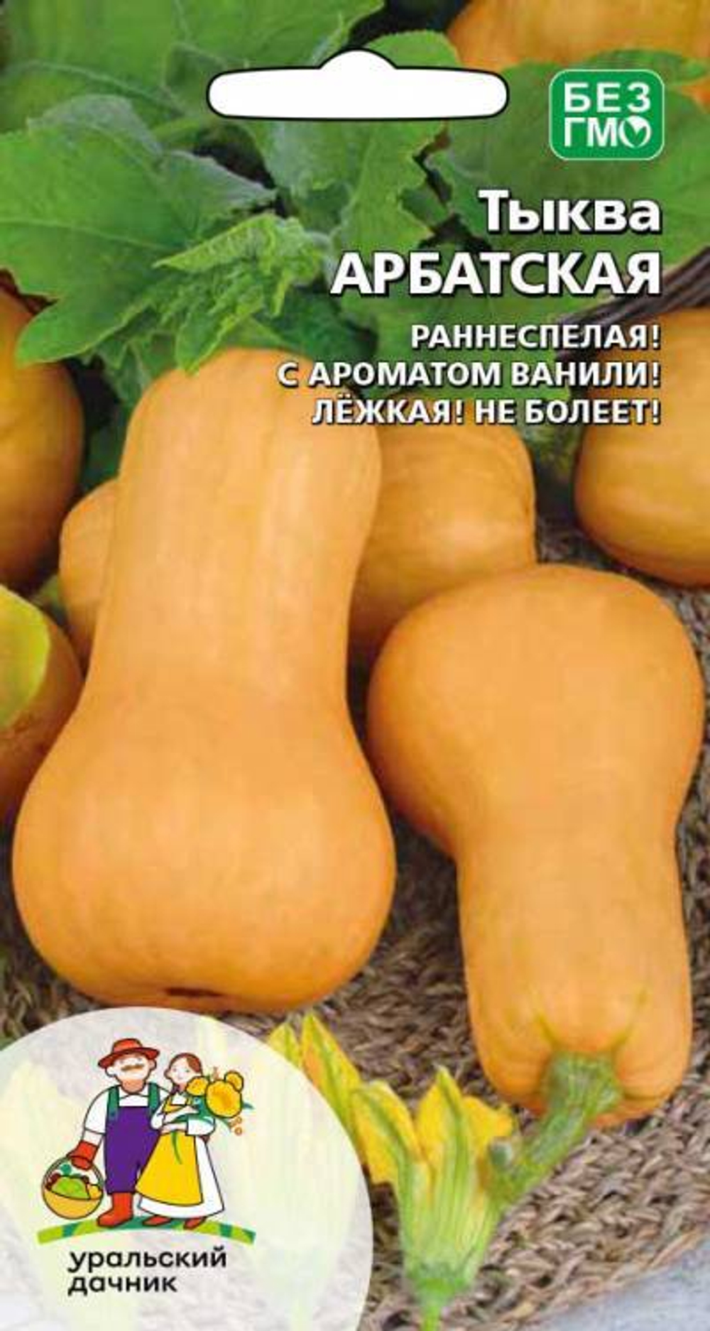 тыква Арбатская