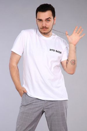 Мужская футболка 15311