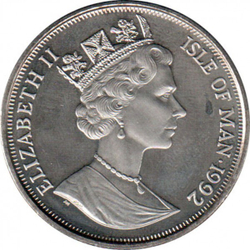 Сиамская кошка