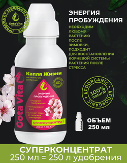 Энергия пробуждения