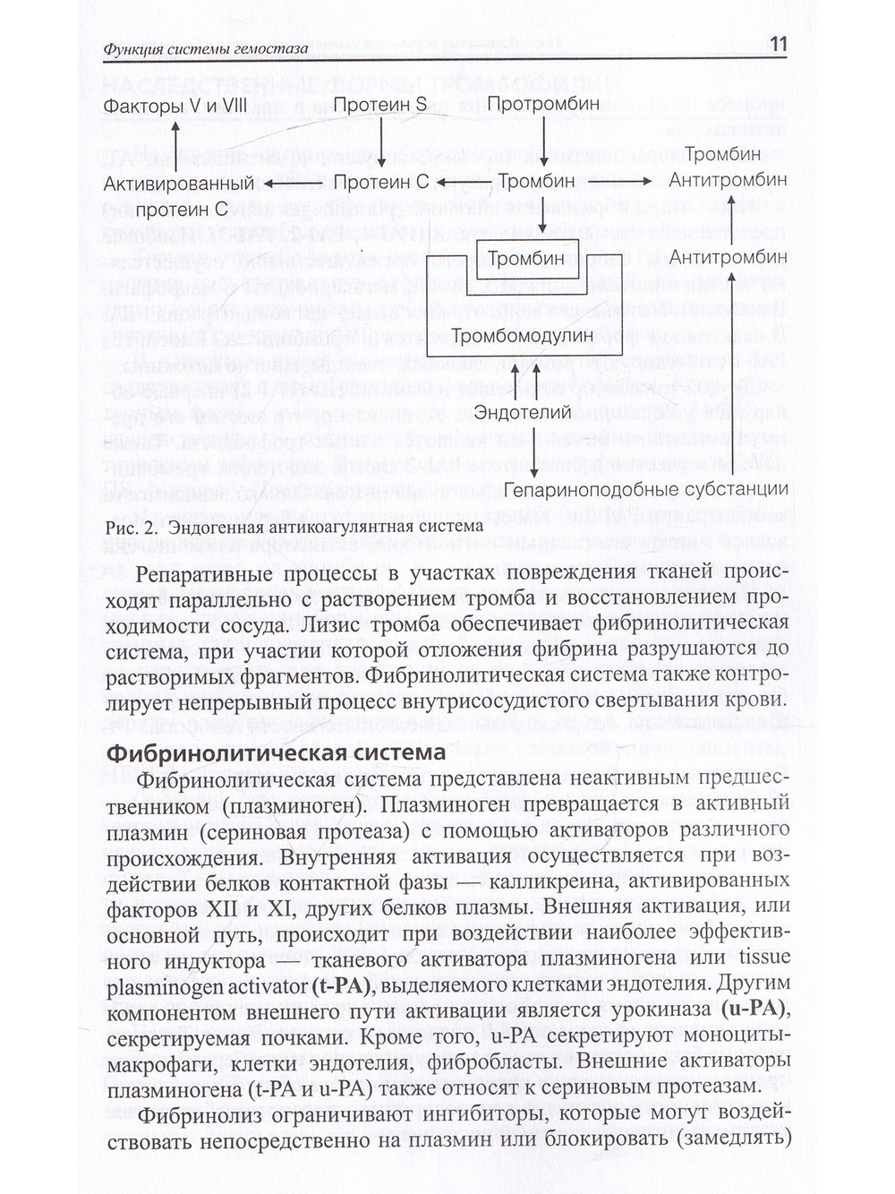 Наследственные нарушения системы гемостаза и беременность: методические рекомендации