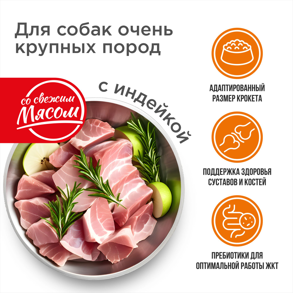 Корм сухой для взрослых собак очень крупных пород, премиум полнорационный сбалансированный, с индейкой, 2,5 кг, QUATTRO