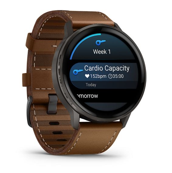 Умные часы Garmin Venu 4 - 45мм Slate with Black Silicone Band and Brown Leather Band