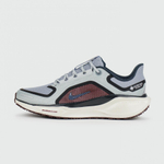 кроссовки Nike Air Zoom Pegasus 41 Gtx Light Pumice FQ1356-003