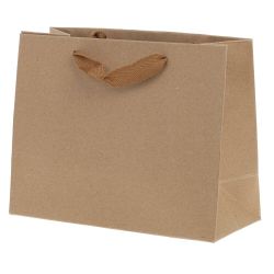 GAEM Пакет подарочный (бумага 210г/м2, блок 12шт), L19/23 W8/10 H24/18 см, 2в.