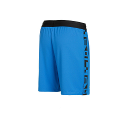 Мужские теннисные шорты Lacoste Shorts Men - Blue, Black