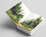 Кисло-сладкое. Предзаказ. Выход книги в июле 2025 года