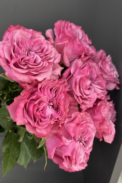 11 пионовидных роз Кантри блюз