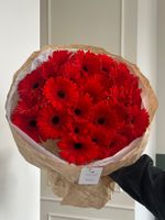 Букет из гербер в красном оттенке 25 шт