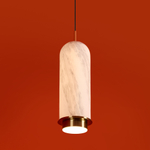 Подвесной светодиодный светильник Freya Iride FR5627PL-L11BBS