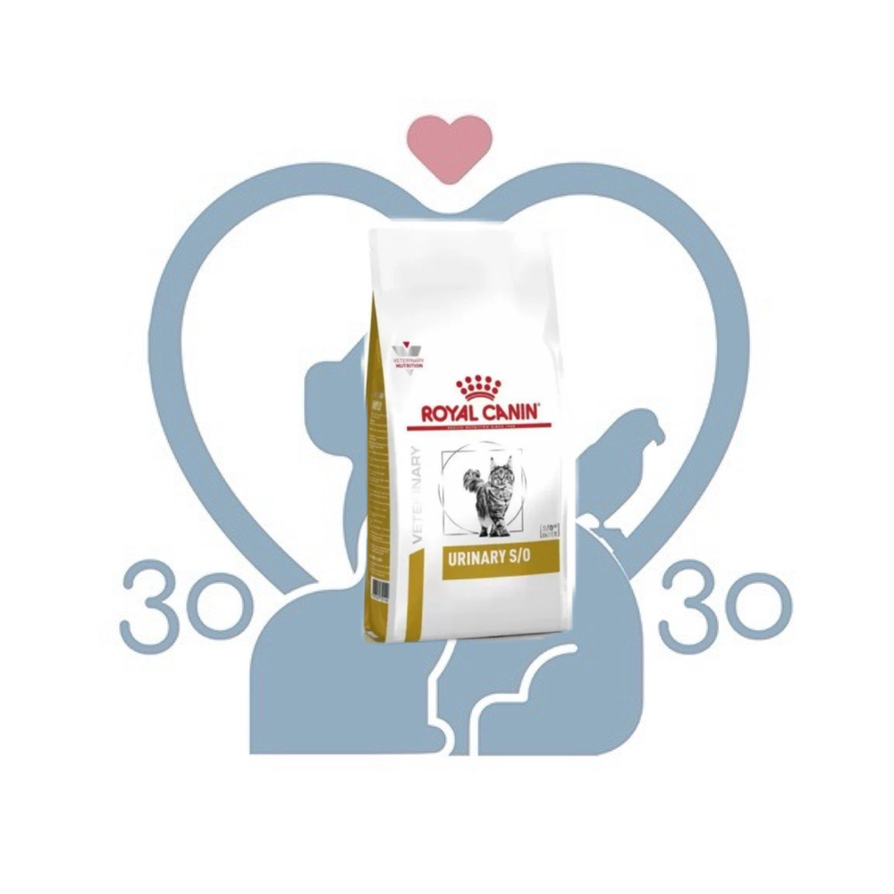 Royal Canin Urinary S/O – Корм-диета для взрослых кошек при лечении и профилактике мочекаменной болезни, 350 гр