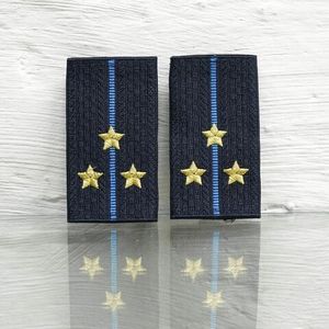 Фальшпогоны Юстиция