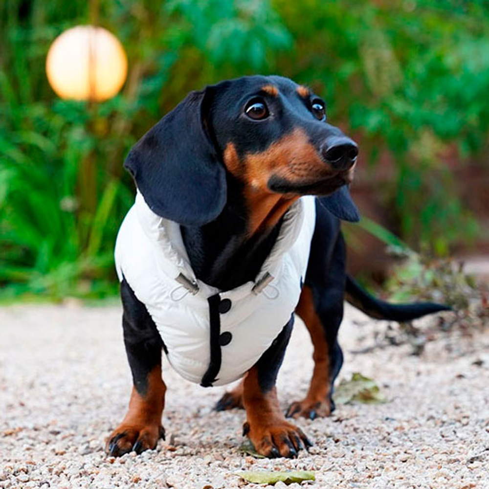 550 PA-OW Облегченная безрукавка "AIR3 / -20°~0° " Puppy Angel