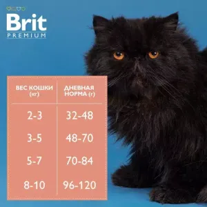 Сухой корм Brit Premium Cat Sterilised Salmon&Chicken с лососем и курицей для кошек