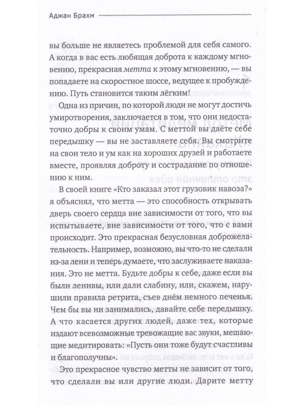 Осознанность и плюшевый мишка. Вопросы и ответы по укрощению твоего дикого ума