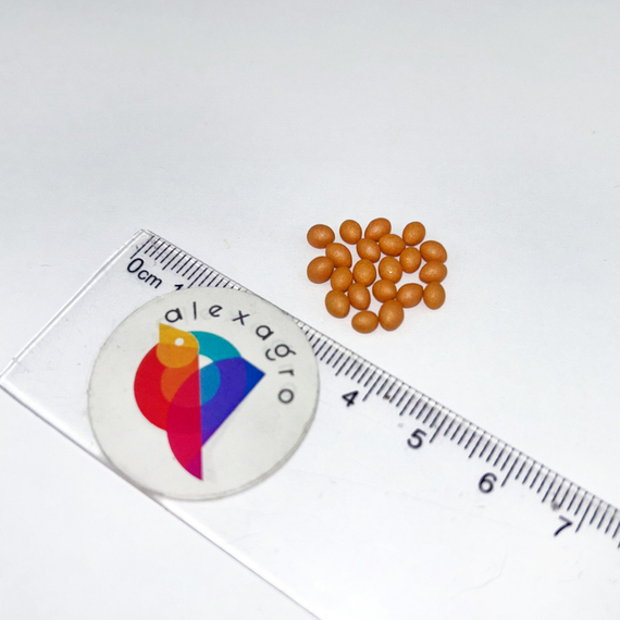 КАТЮША семена салата Nunhems описание – фото 5