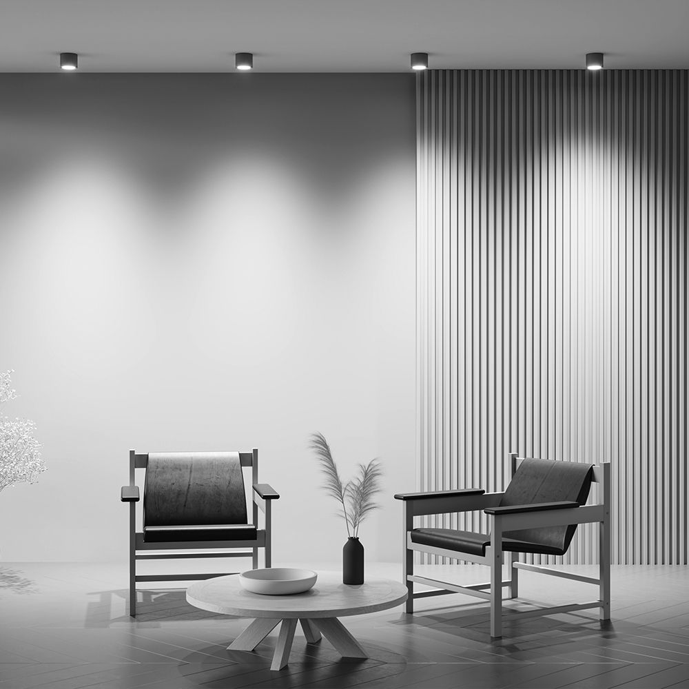 Светильник потолочный Maytoni Rendo C095CL-GX53-GR