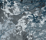 Обои с узором из линий 19501