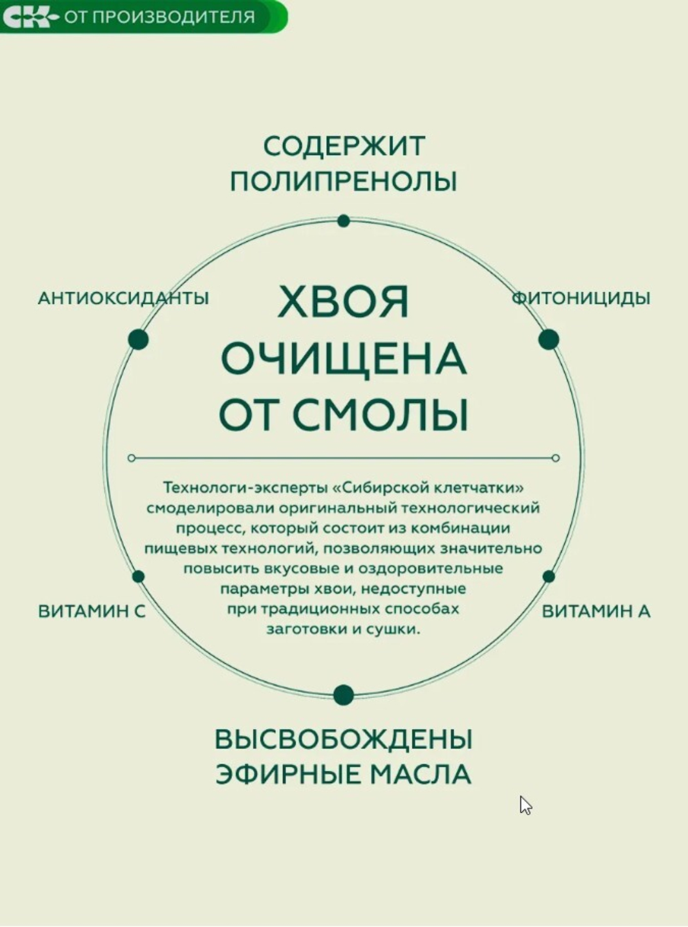 Скриншот 18.12.24_19.26.39