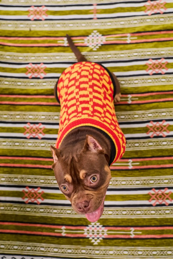 Для собачки