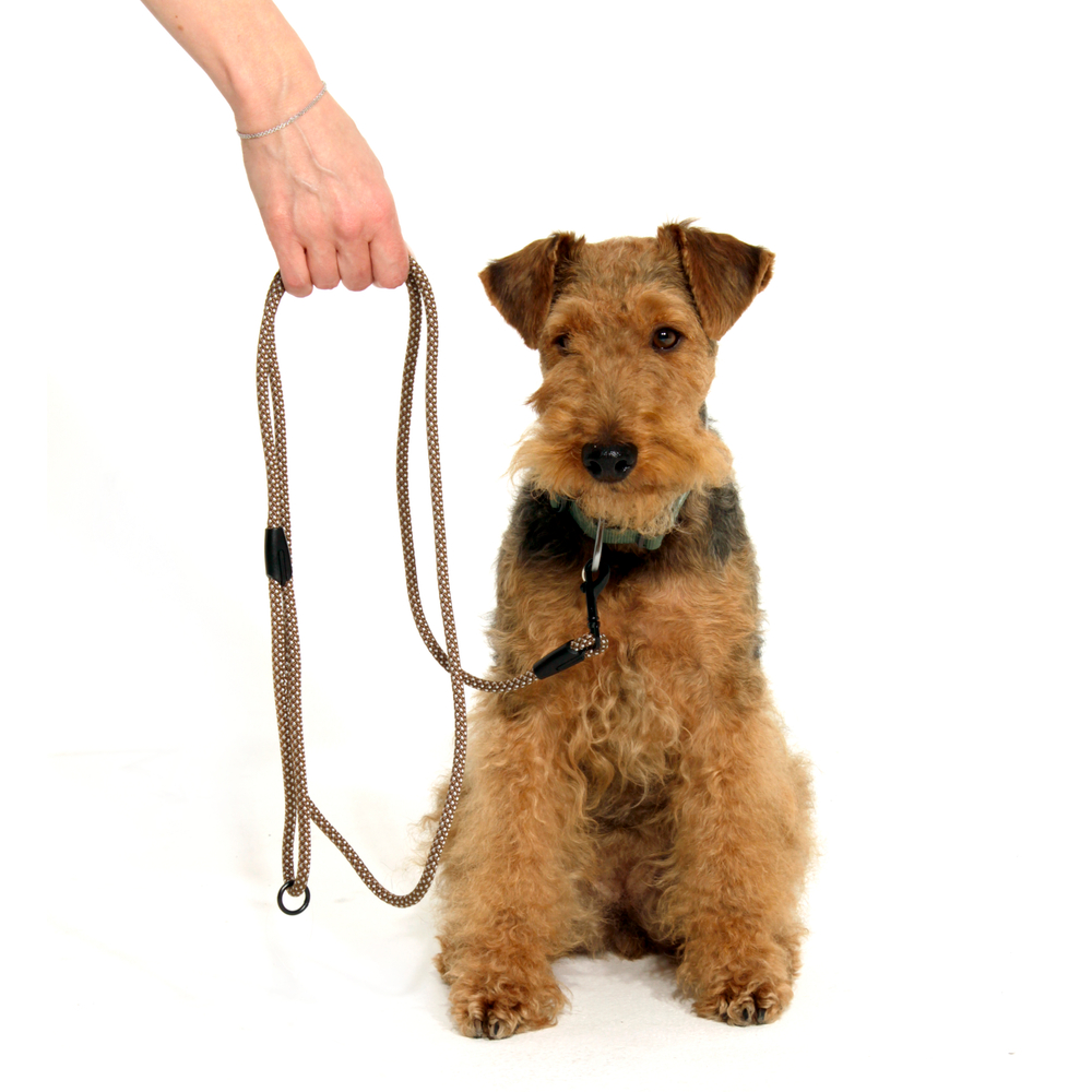 Поводок Weekend Doglea