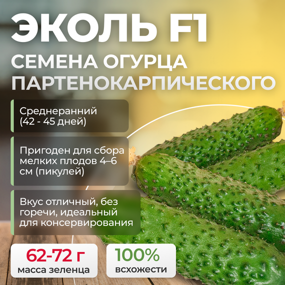 ЭКОЛЬ F1 семена огурца партенокарпического (Syngenta)