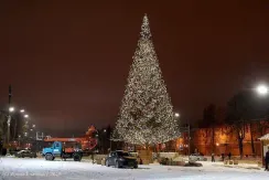 Уличная искусственная светодинамическая елка Альпийская зеленая 19 м., ствольная, ПВХ, Green Trees (GT19APVCLED)