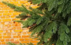 Искусственная ель Сказочная 3 м., 100% литая хвоя, ПромЕлка (30300)