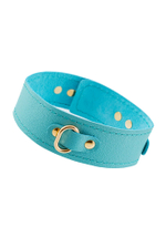 Голубой кожаный однослойный ошейник с прошивкой (Цвет: голубой)