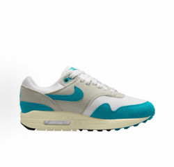 Nike Air Max 1 Dusty Cactus