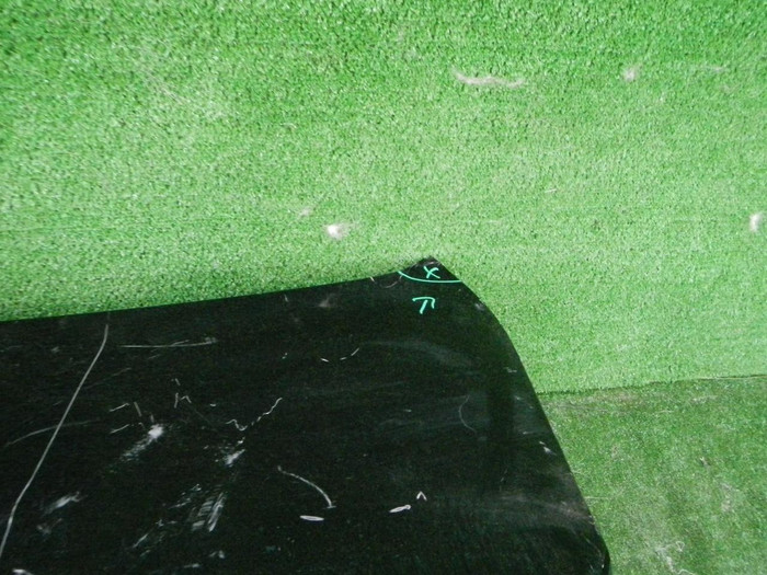 DSCN3550.JPG