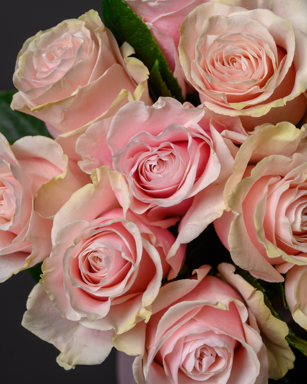 Монобукет розовый