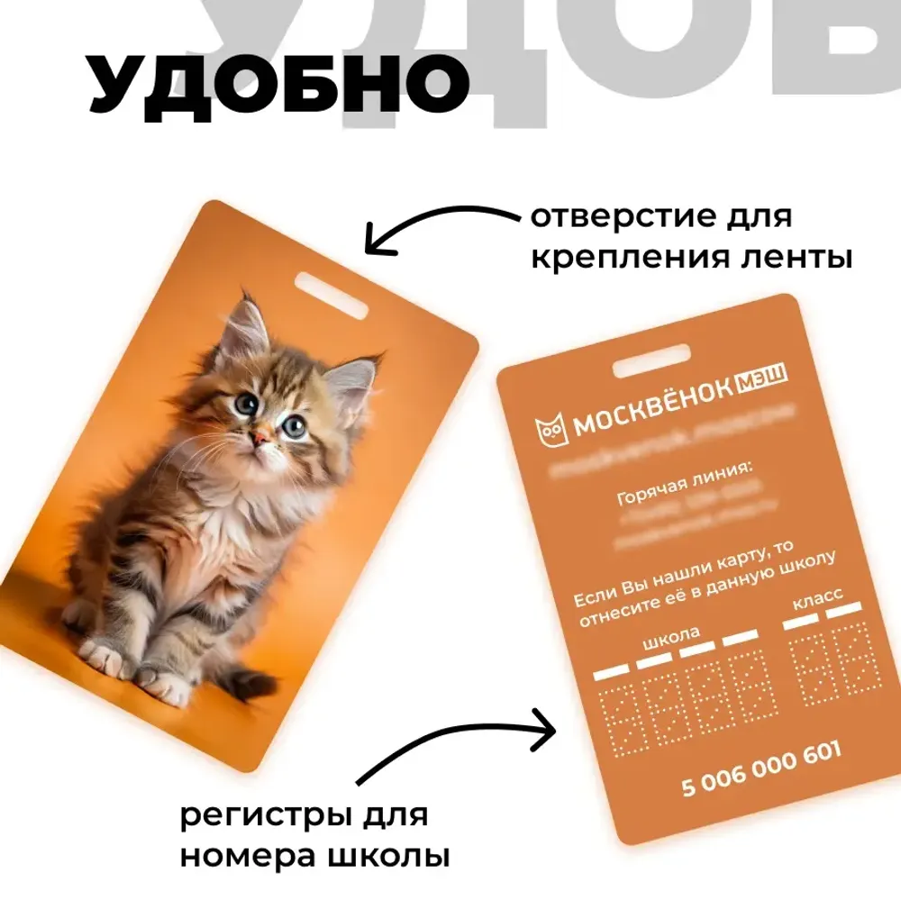 Карта Москвёнок CATS №8 (проход + питание)