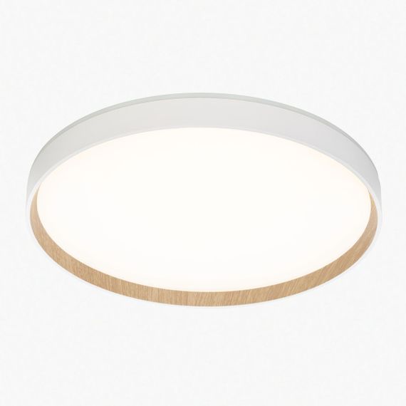 Потолочный светодиодный светильник Citilux Etalon CL750400R