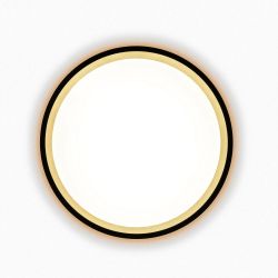 Citilux ETALON CL750181 LED Светильник с подсветкой Чёрный+Золото