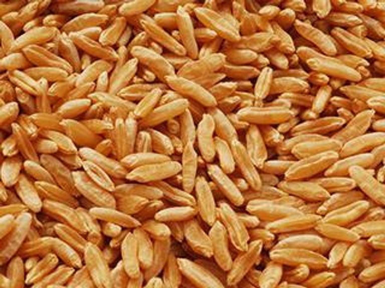 Сладкие заменители солода