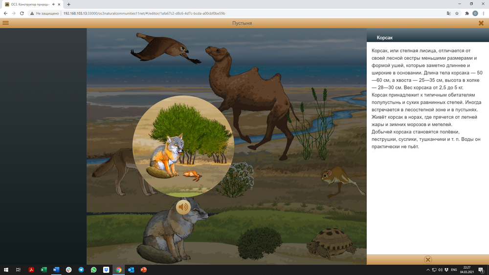 ОС3. Конструктор природных сообществ. Сетевая версия 1.1 (Электронная лицензия на сетевую версию на один класс c возможностью подключений до 30 учеников бессрочная)