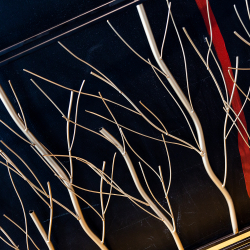 Панно Объект мечты Родант Горизонт