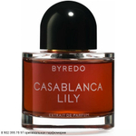 Casablanca Lily