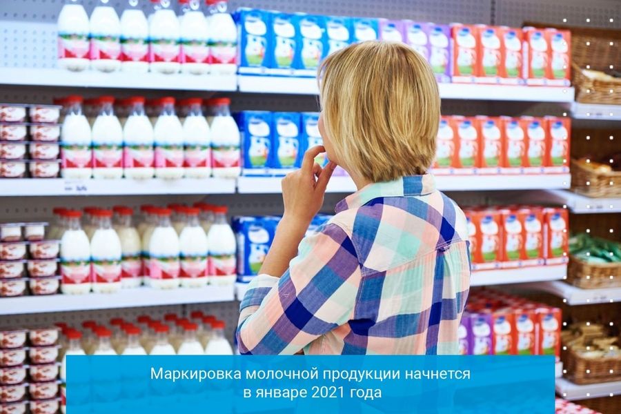 Маркировка молочной продукции начнется в январе 2021 года