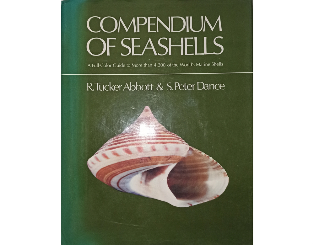 Книга compendium of seashells, БУ