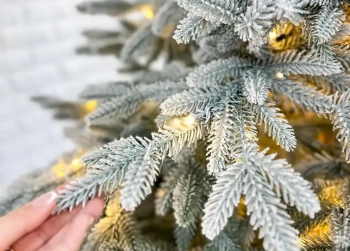 Елки заснеженные