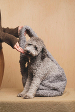 Сумка-слинг "Пони-Кенгурони" Меховая