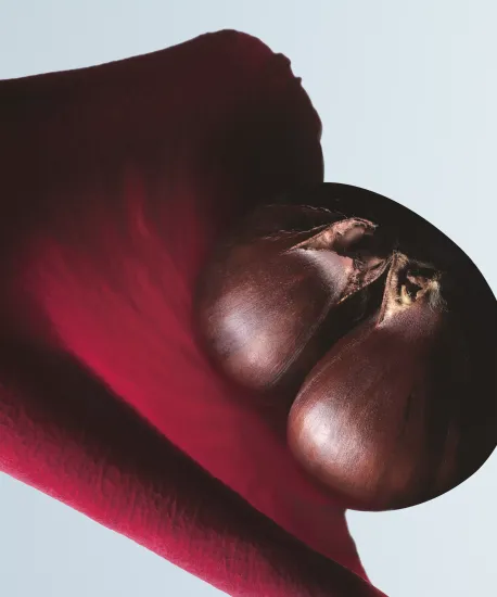 Dries Van Noten Soie Malaquais Eau de Parfum