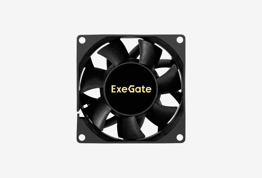 EX299911RUS_0126708011258
