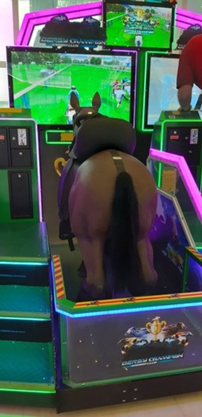 Симулятор конных скачек «Derby Champion Club 2P»