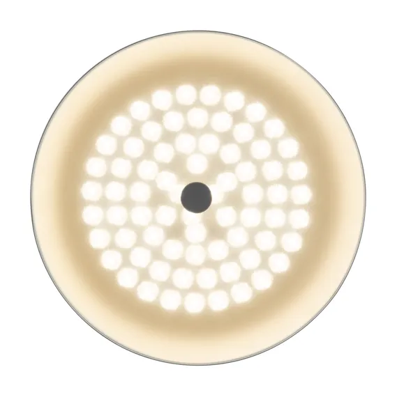 Потолочный светильник FR10013CL-L24W Элементы 24 Вт LED Freya fr10013cl-l24w