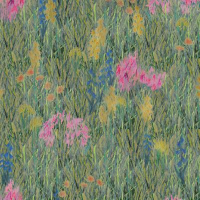 Полевые цветы